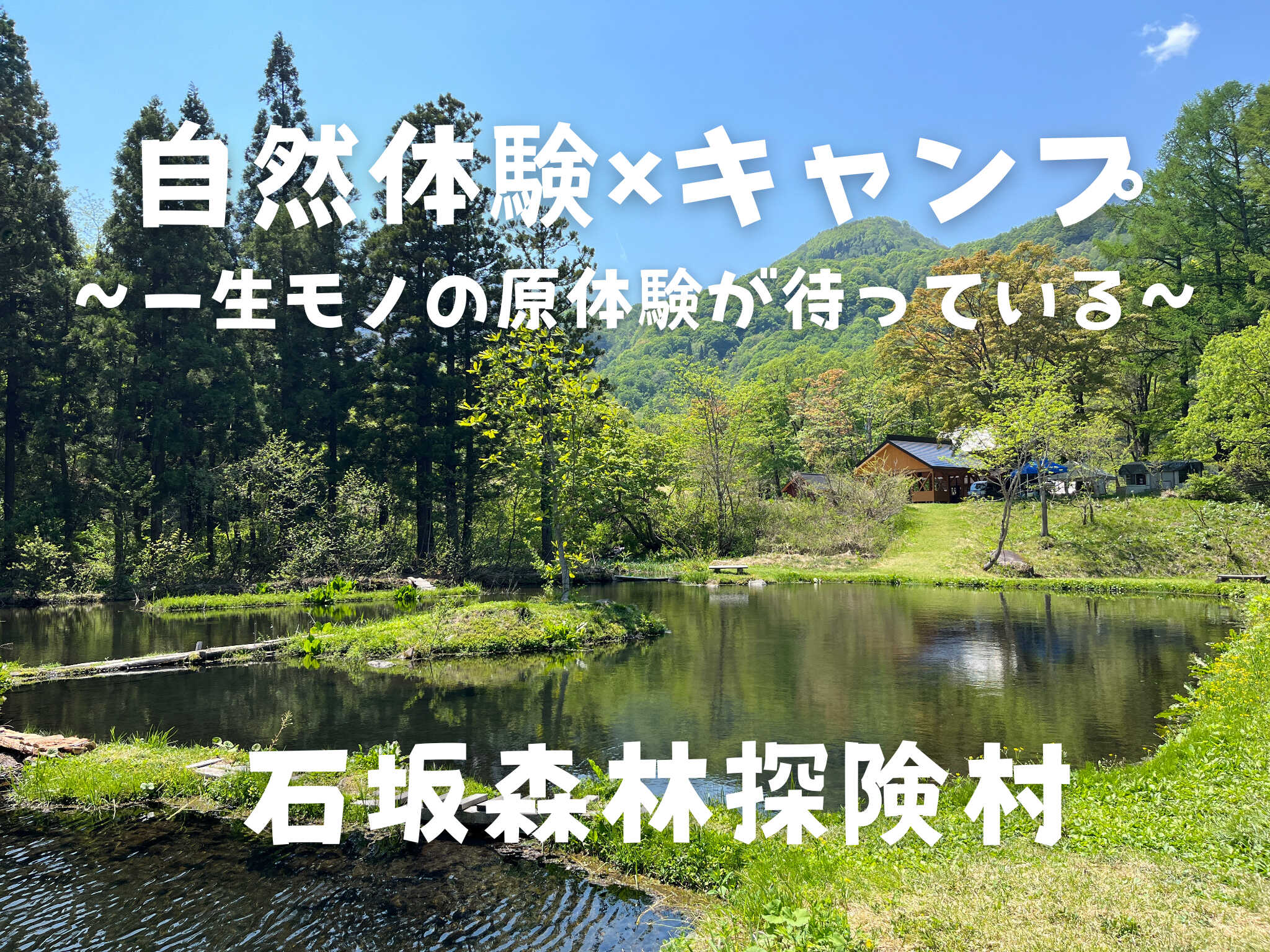 石坂森林探険村の写真 1枚目