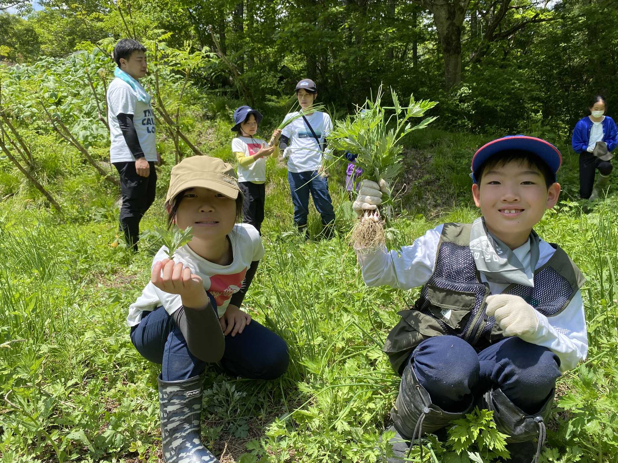 春限定の人気体験『山菜狩り』!ガイドと一緒に里山をワイルドに探検して、夕食食材をGETしよう!