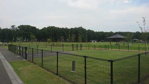 三王山ふれあい公園 photo 4
