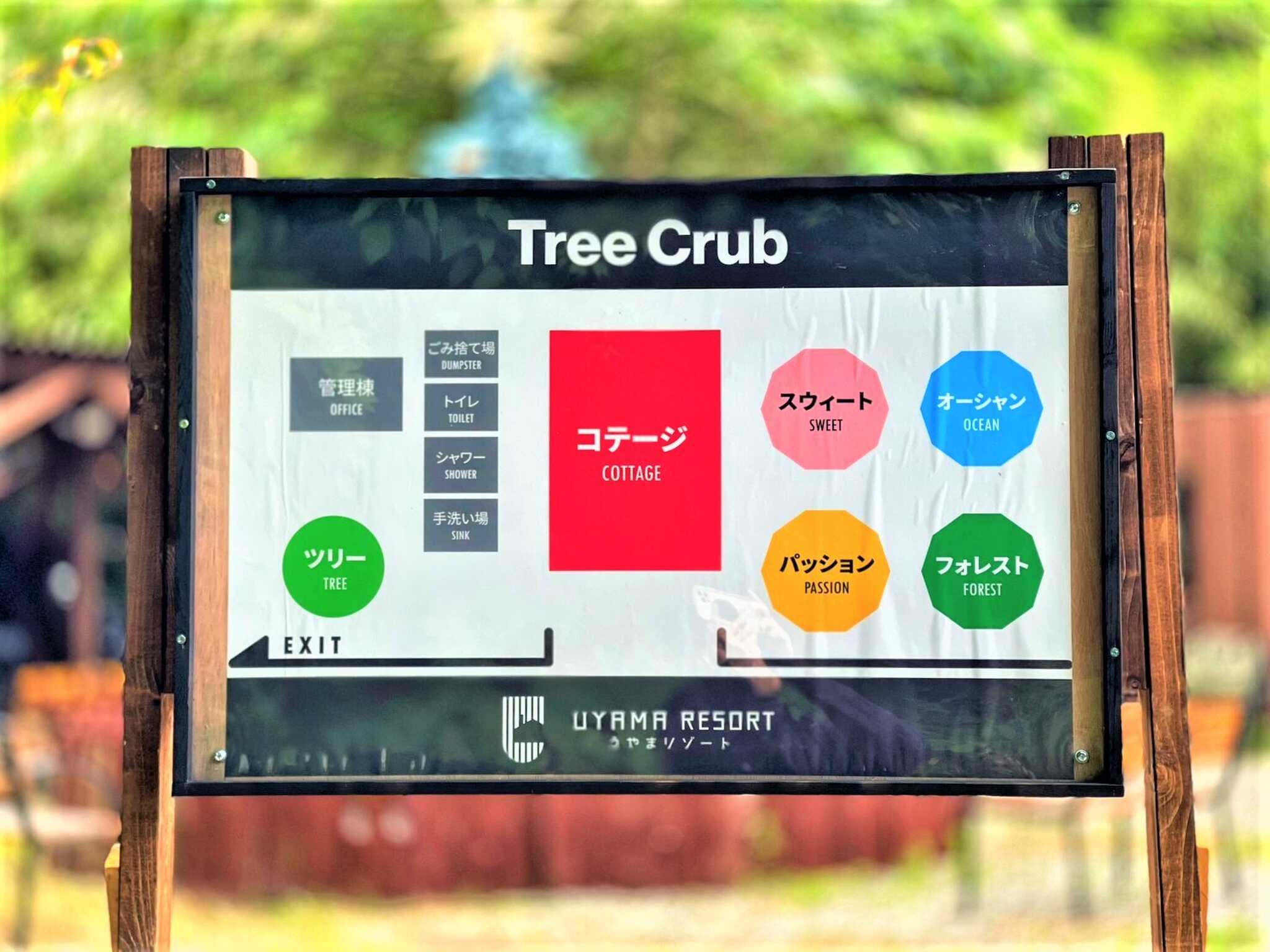 【R6/4現在閉鎖中】Tree Club(ツリークラブ)の写真 3枚目