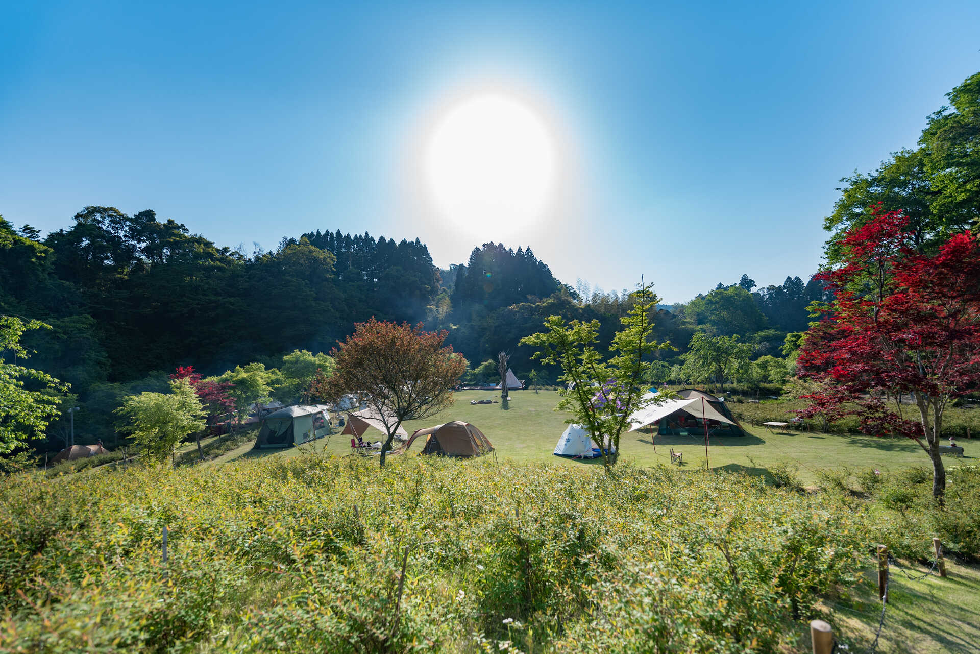 Fika by TAKIVILLAGEの写真 4枚目