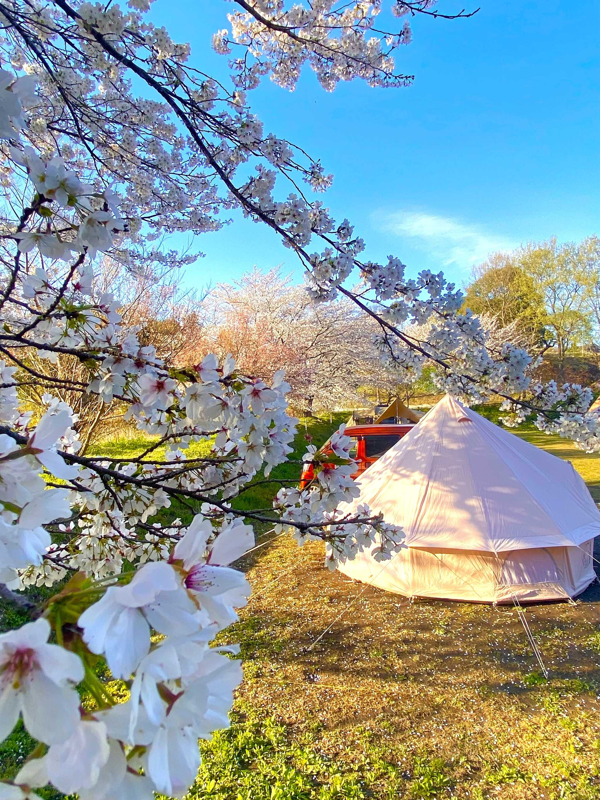 オートキャンプ場はお花見キャンプだけでなく、夕景もキレイに見えます。区画の広さは8×10mと大型テントもOK!
