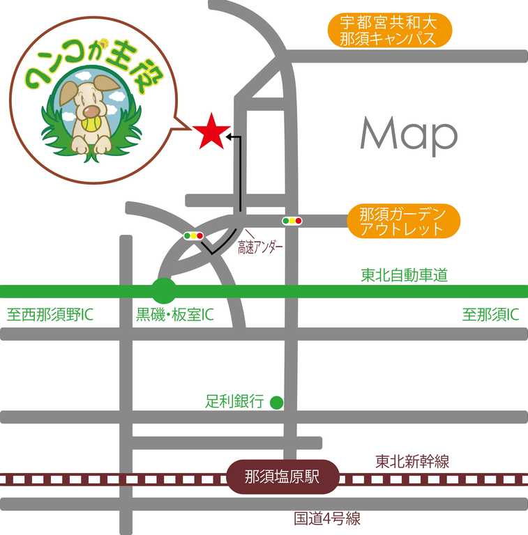 那須貸切ドックラン&キャンピング　ワンコが主役！ photo 3