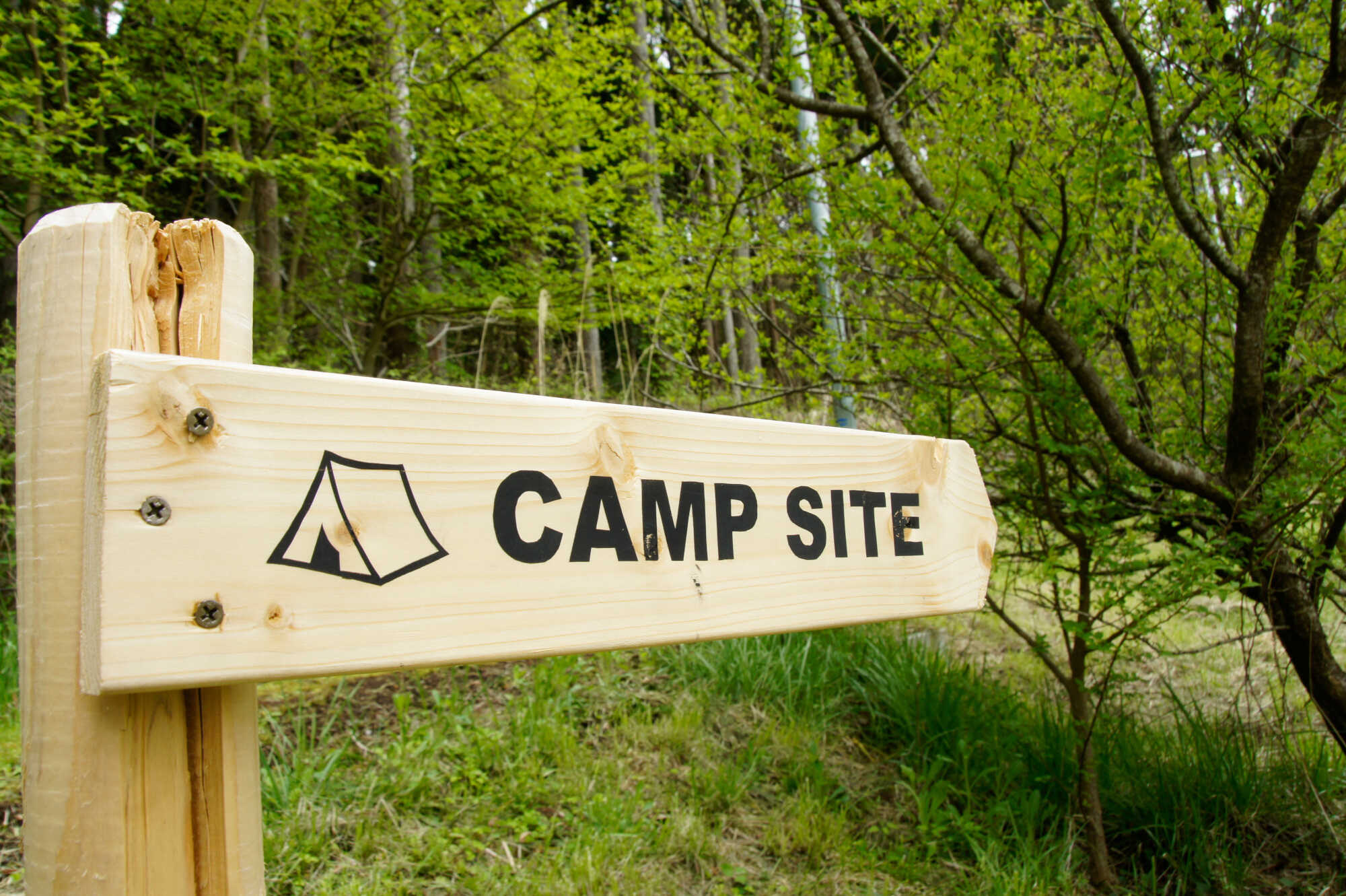 Fuji Camp Base 煌の写真 1枚目
