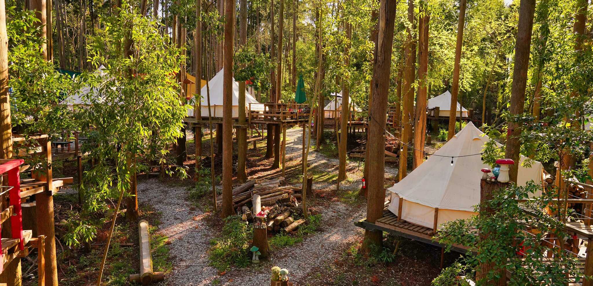 Camping GREEN(キャンピンググリーン)