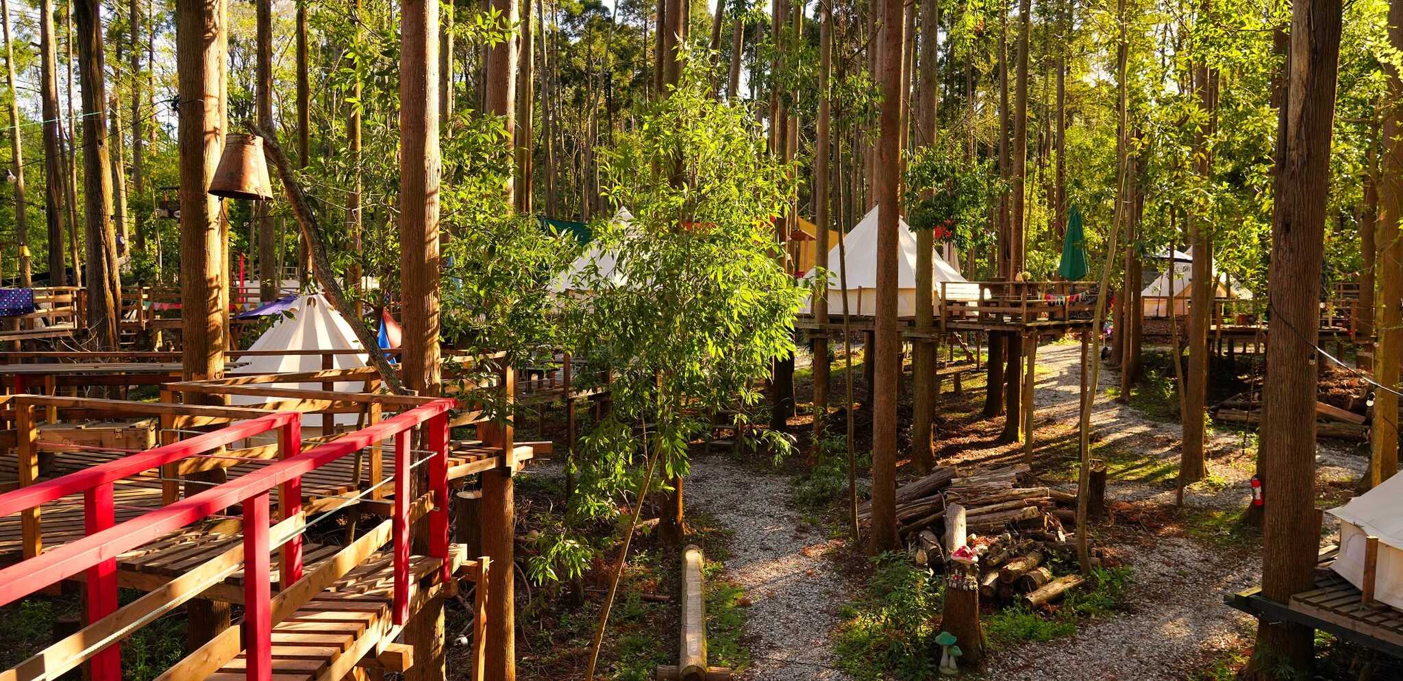 Camping GREEN(キャンピンググリーン)の写真 1枚目