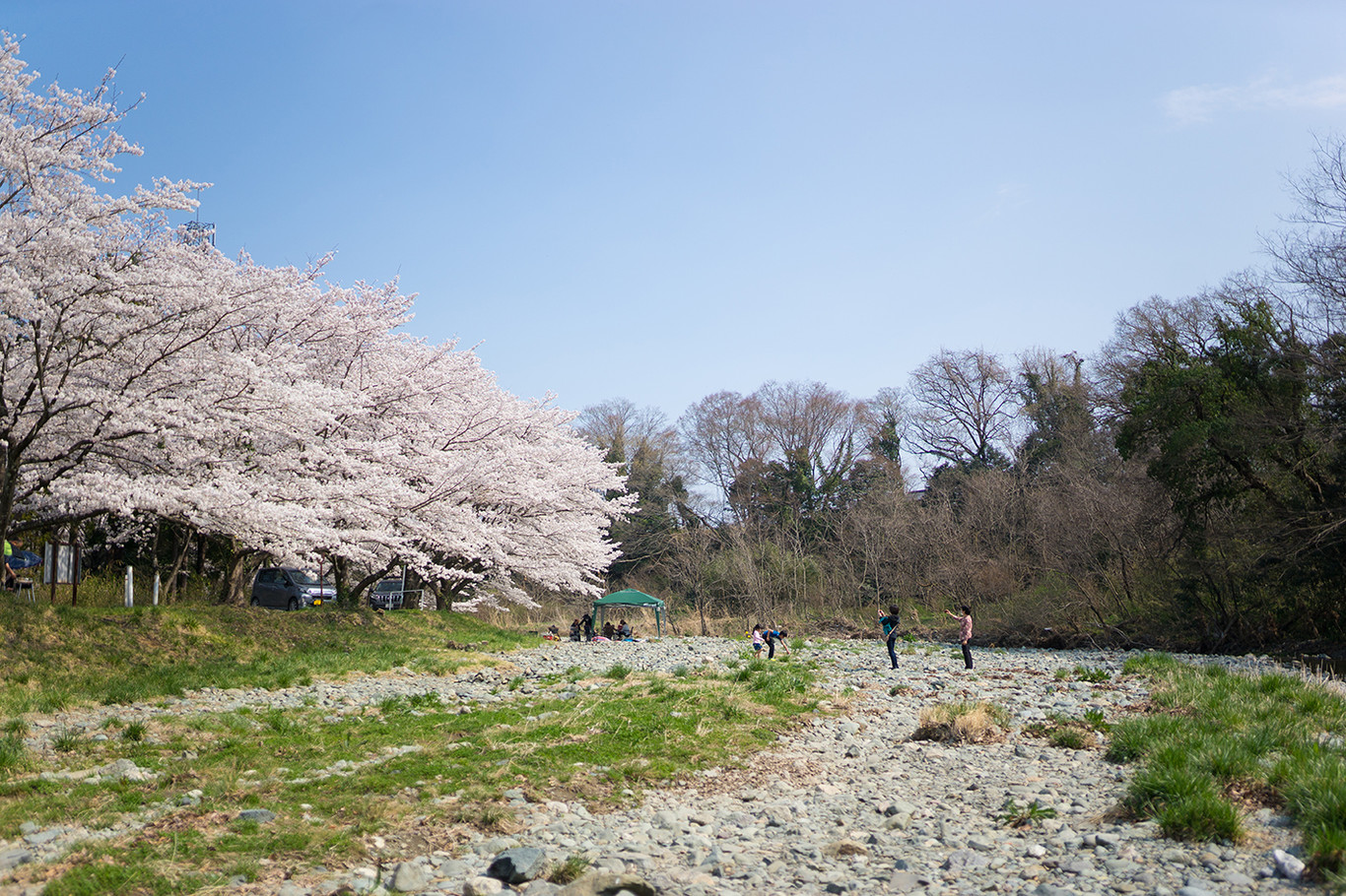 COMORIVER（コモリバ） photo 3
