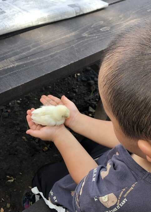 FWA【富士山ワイルドアドベンチャー】の写真 4枚目