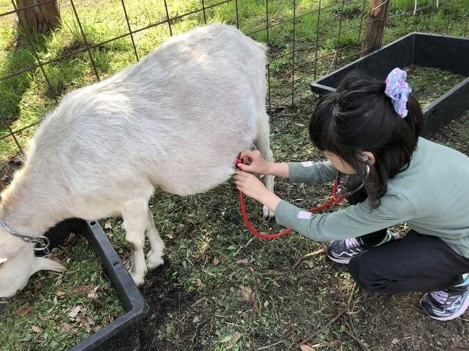 FWA【富士山ワイルドアドベンチャー】の写真 5枚目