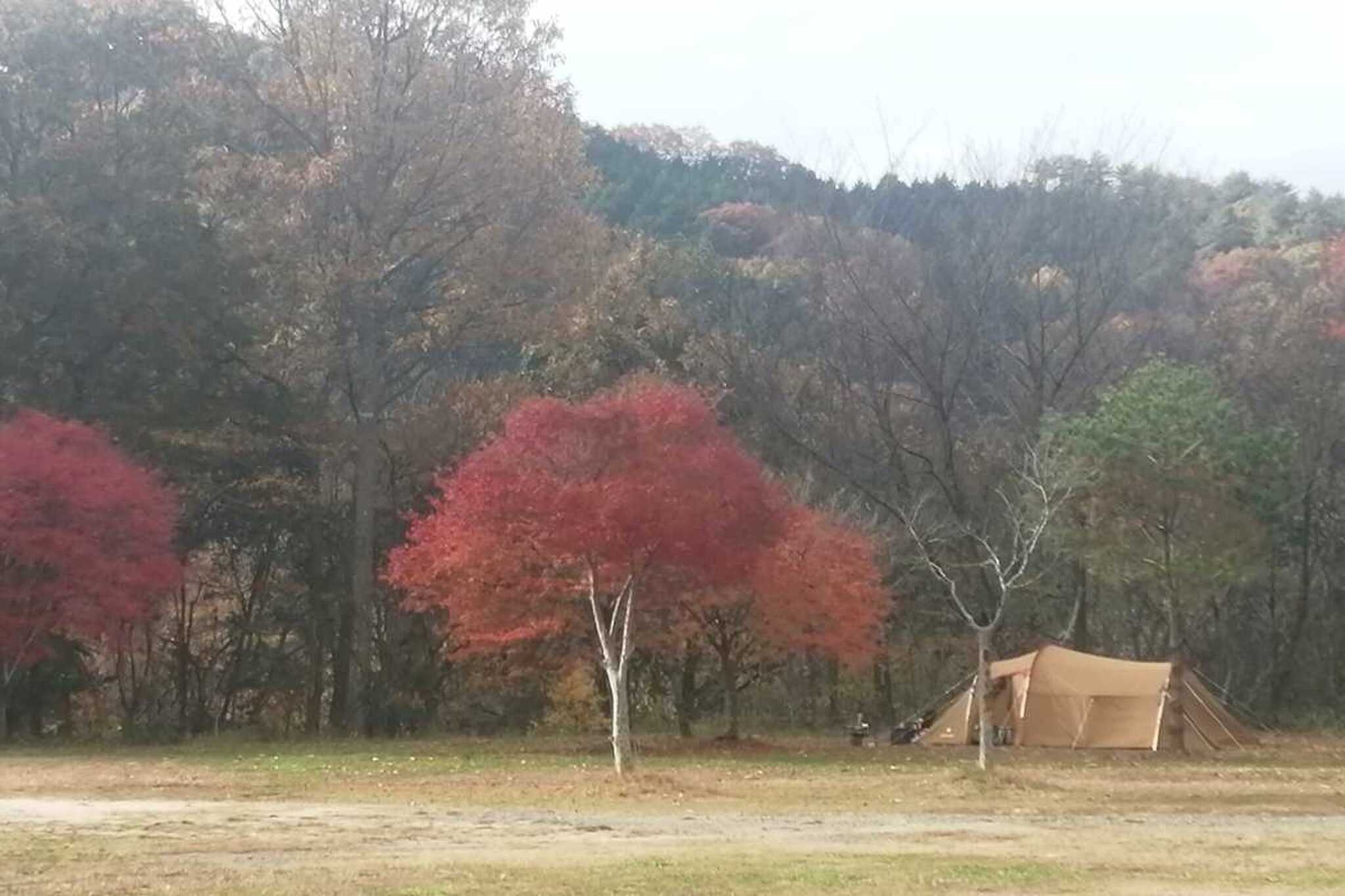 北房もみじ公園の写真 2枚目