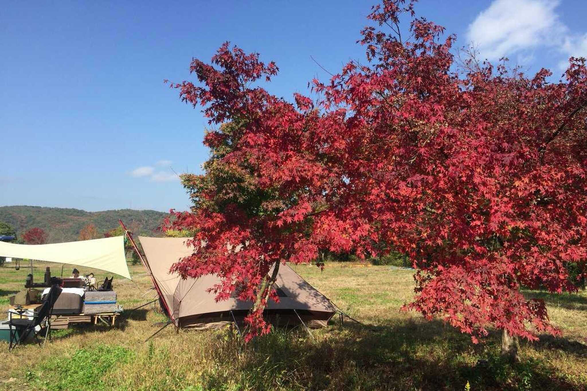 北房もみじ公園の写真 4枚目