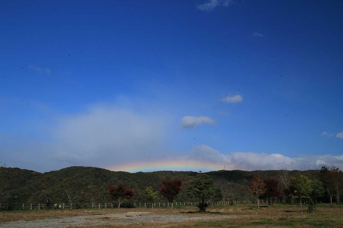 北房もみじ公園 photo 5