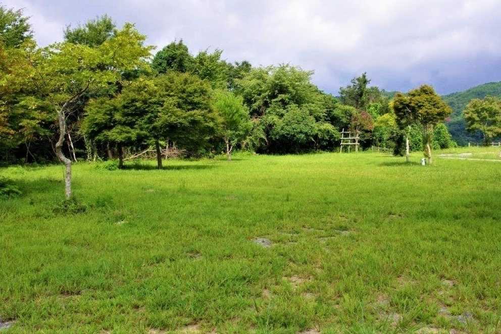 北房もみじ公園 photo 4