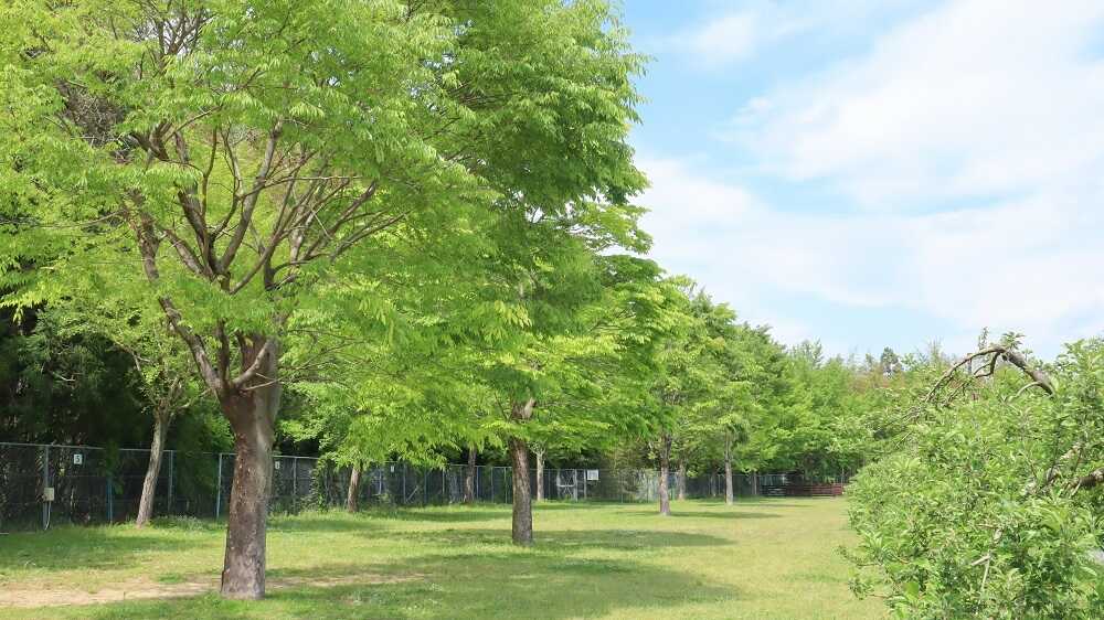 はままつフルーツパーク時之栖