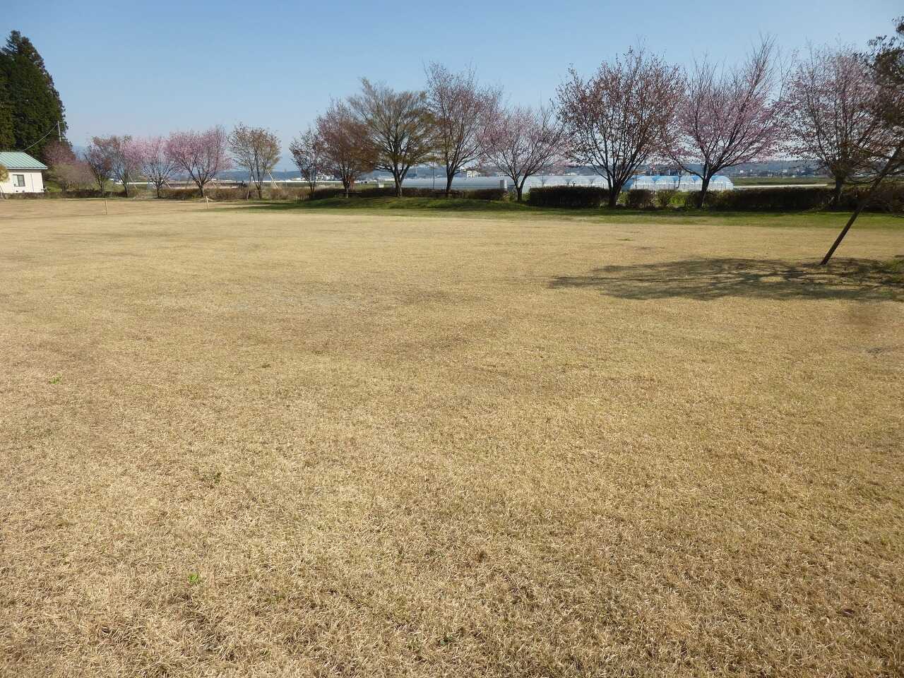 矢板市城の湯キャンプ場の写真 5枚目