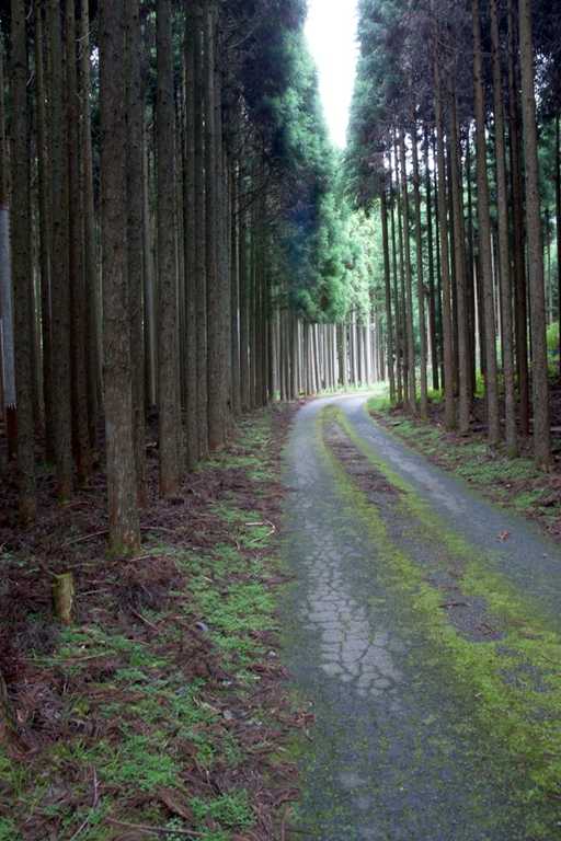芦見谷芸術の森 photo 5