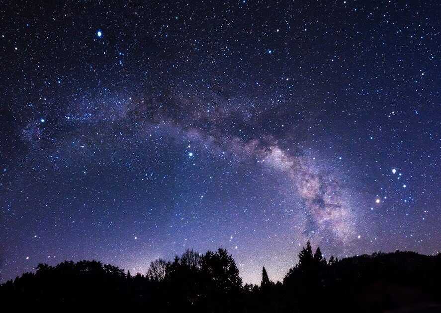 たかのす里山キャンプ場の写真 2枚目