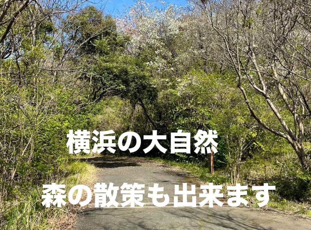 上郷・森の家