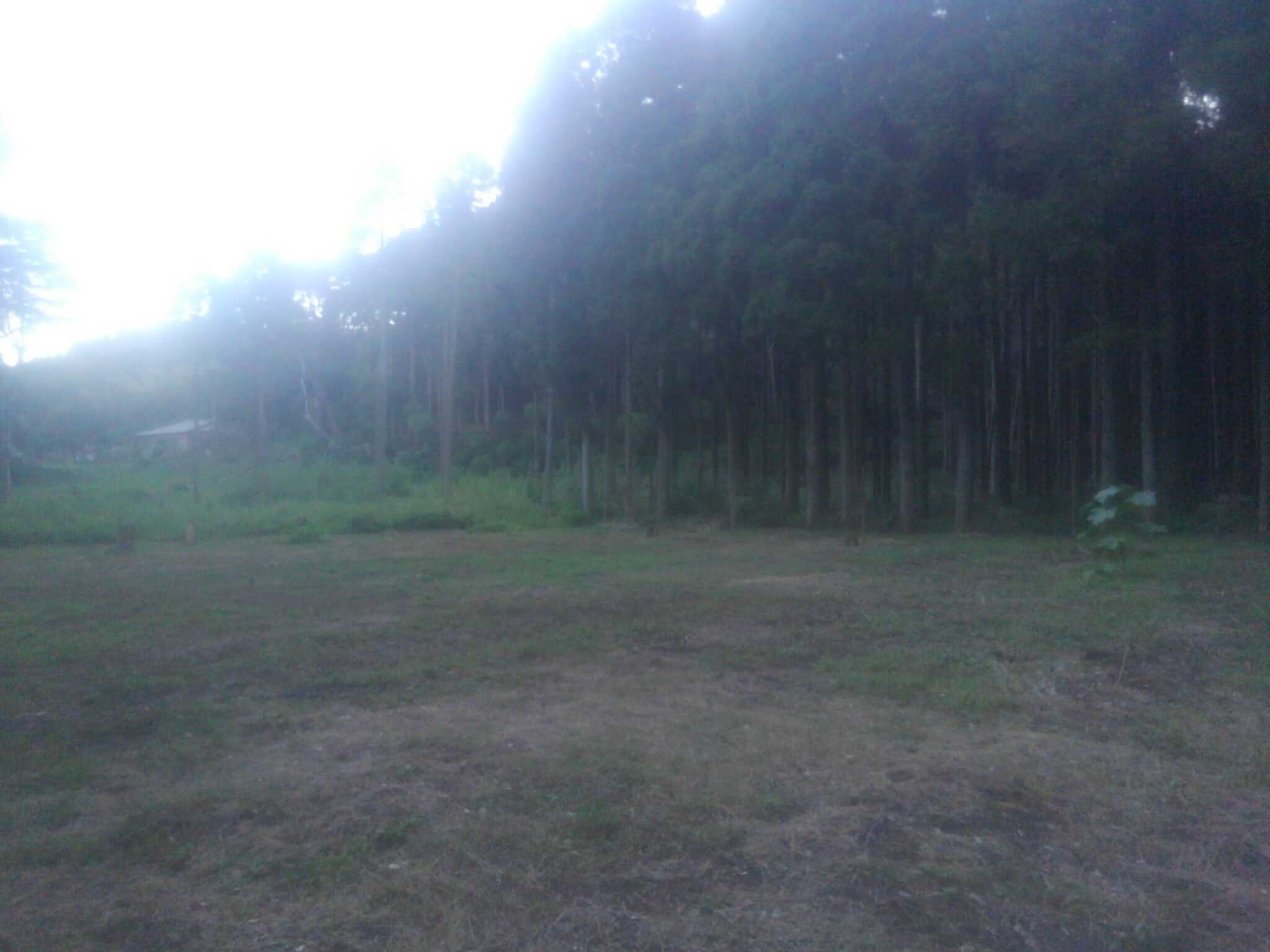 鹿野山自然学校