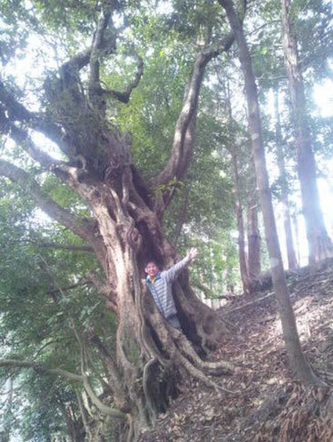 パワースポット探検隊、癒しの女子旅1dayリトリート等のリトリートプログラムでは、鹿野山をスタッフに案内してもらうことができます。あれもこれもと予定を入れず、ひとつの山でじっくり自分を見つめ、過ごす1日を送ってみませんか?