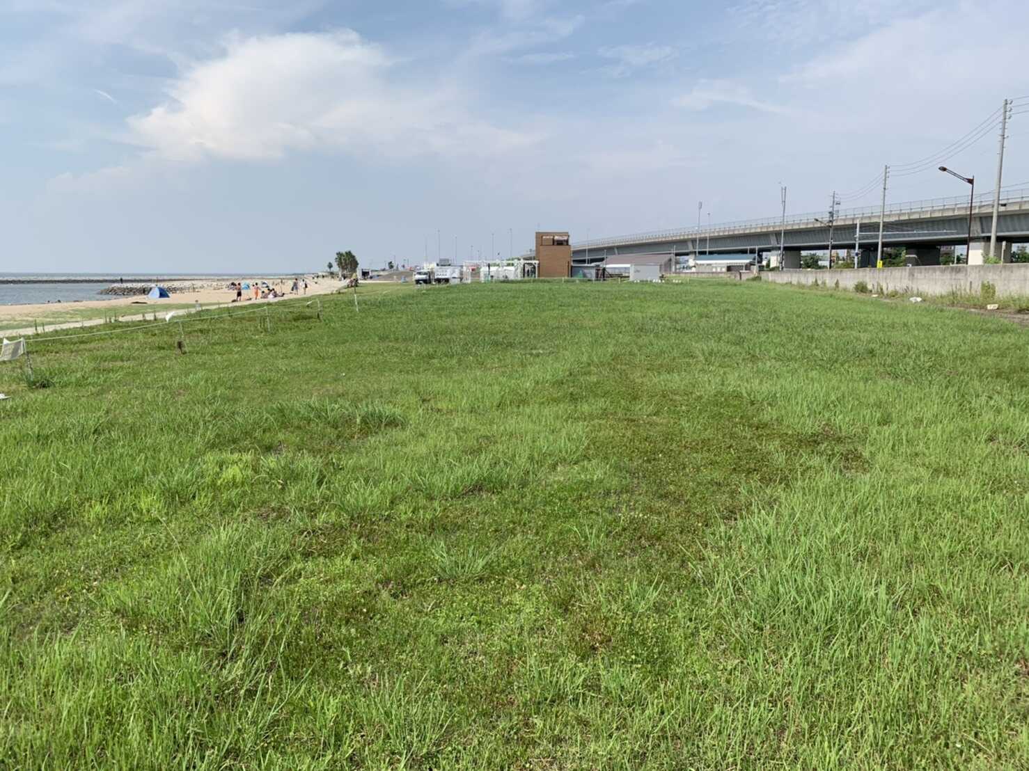 キャンプサイト地面の様子