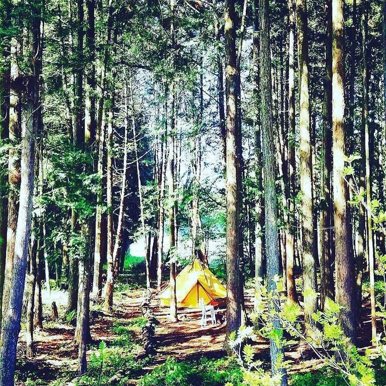 フォレスト グリフ（プライベートキャンプ場）の公式サイト画像