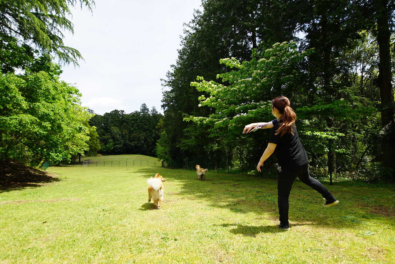 アスパイヤの森キャンプ場の写真 4枚目