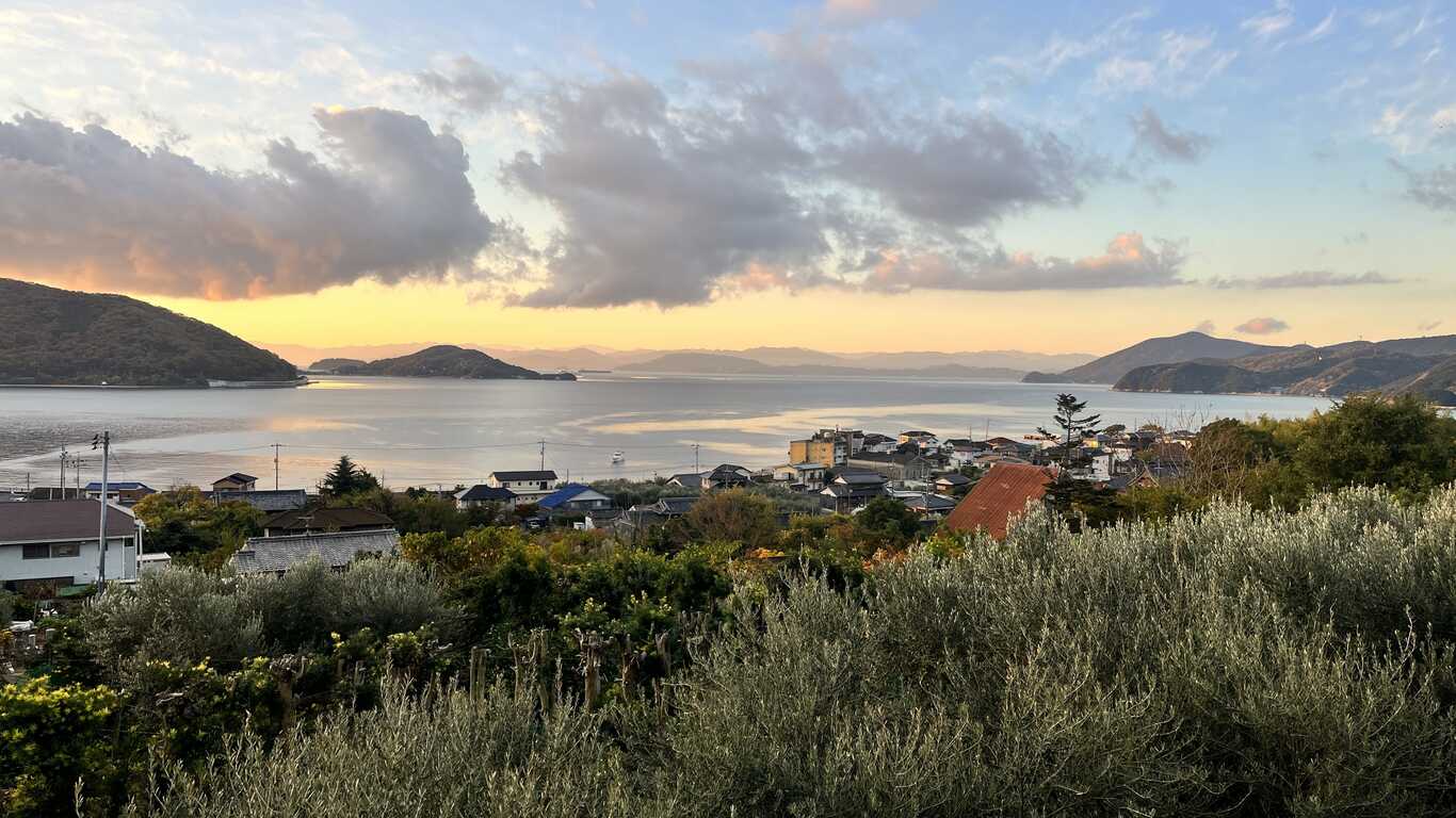 camp tiki-tikiの公式サイト画像