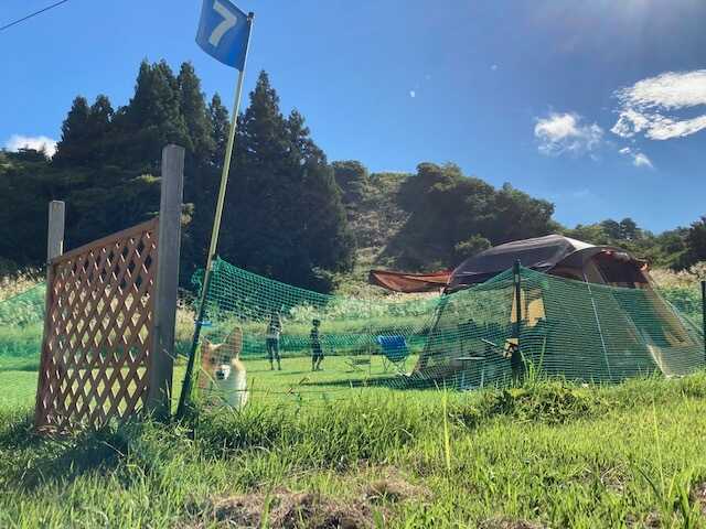 1日限定6組の貸切ドッグランサイト!愛犬と一緒にキャンプが楽しめます☆