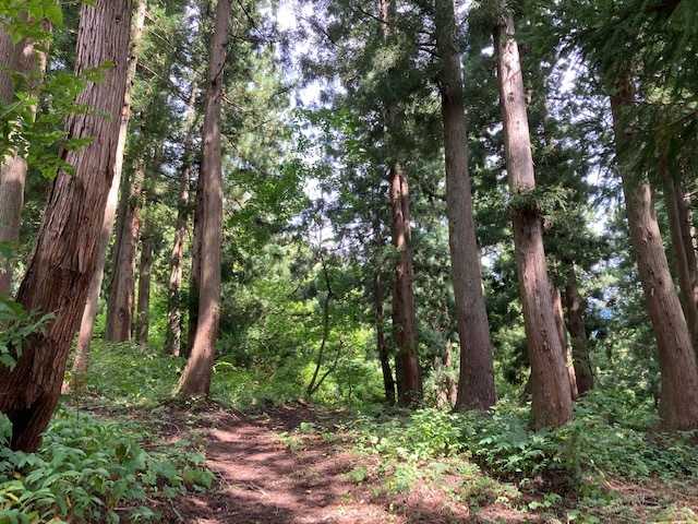 戸狩温泉　星降るキャンプ場 photo 3