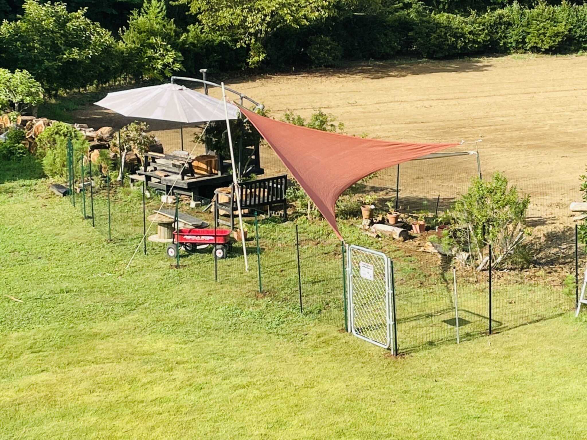 ドッグランあります