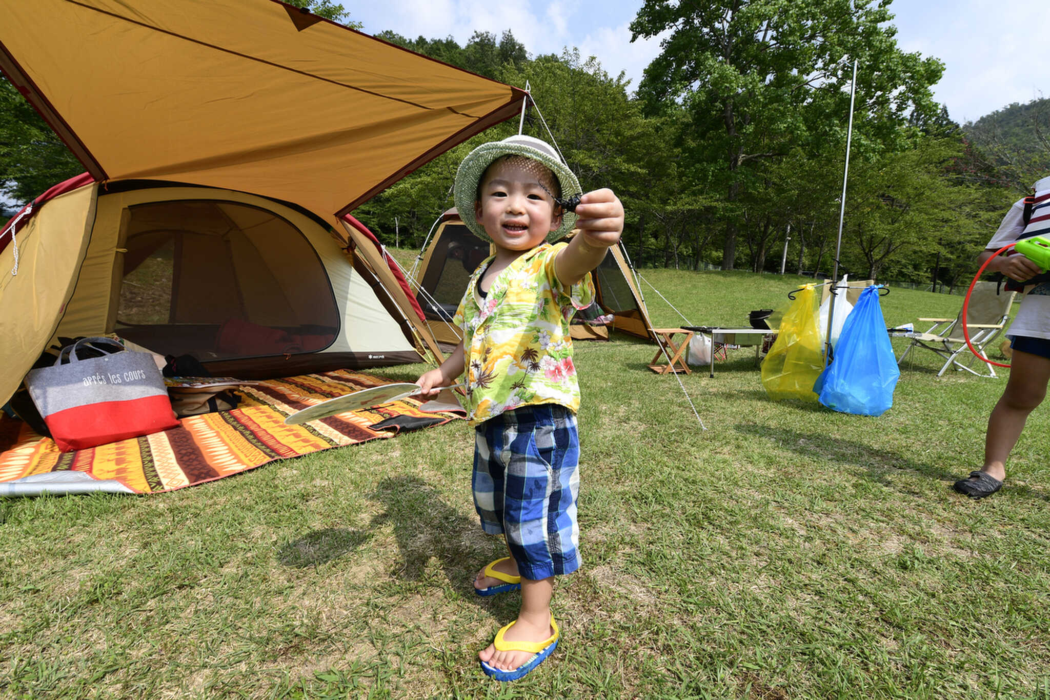 虫や生きものと触れ合える、自然豊かな環境!