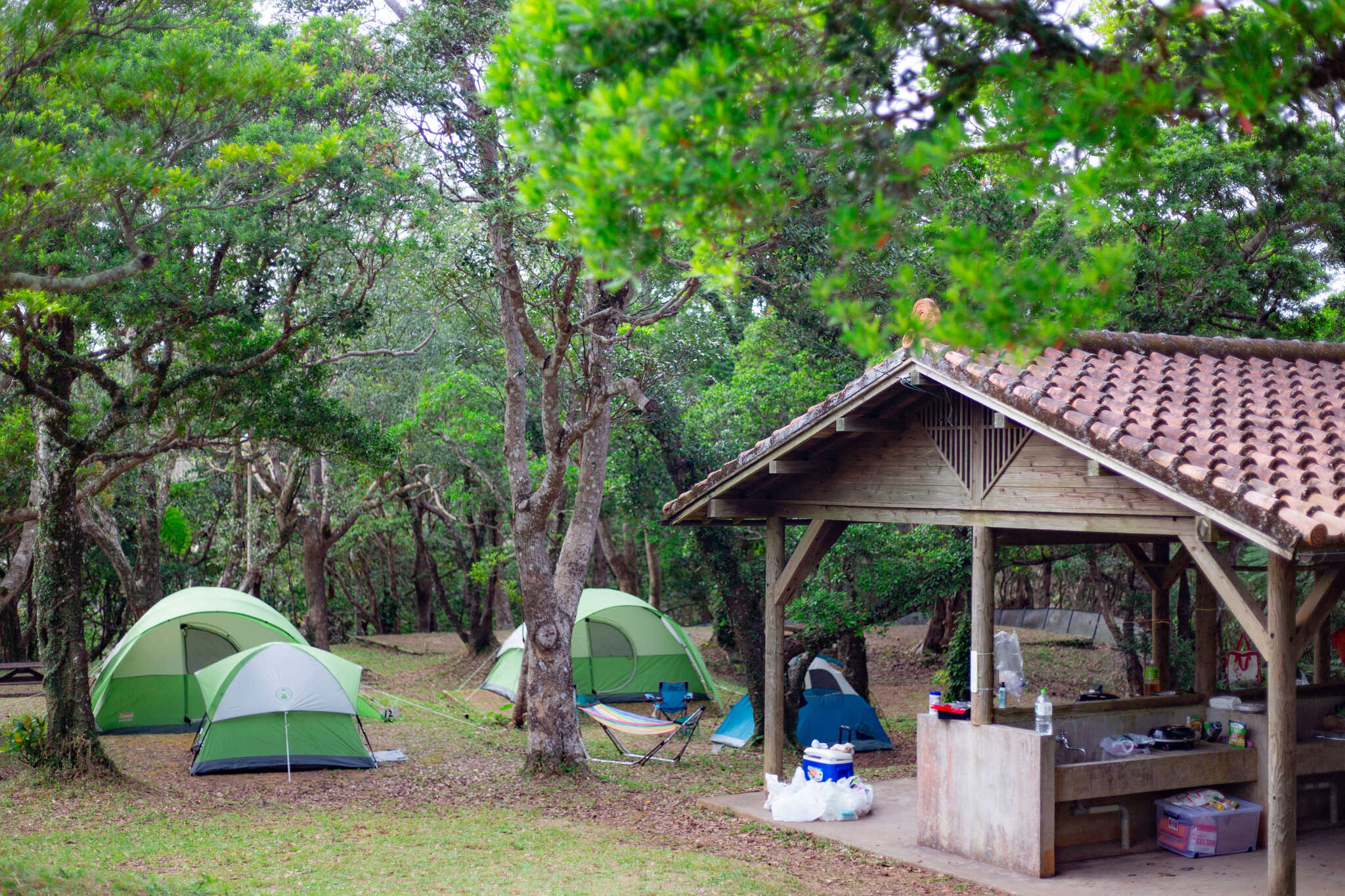 乙羽岳森林公園キャンプ場