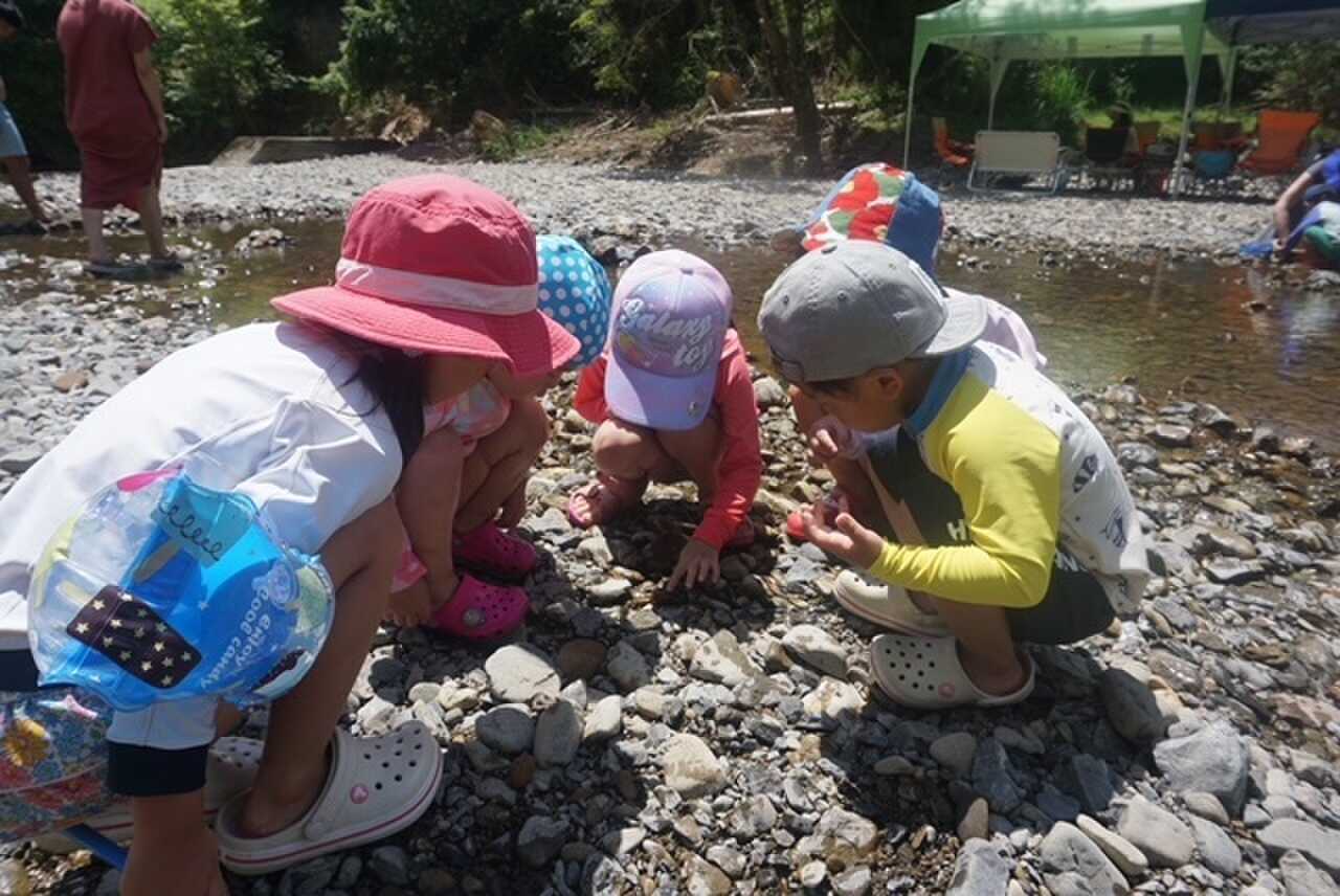 こならの森の写真 3枚目