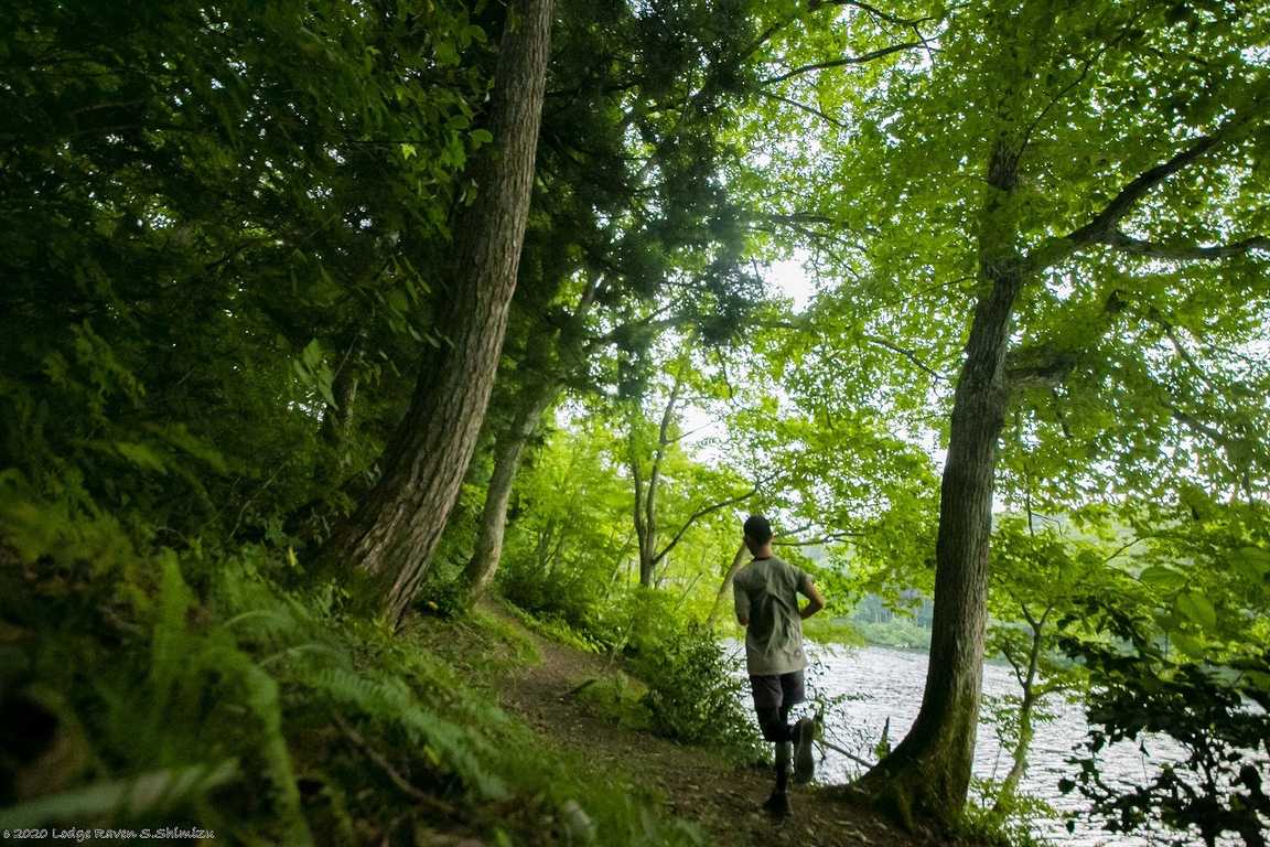 Lodge Raven キャンプエリア photo 2