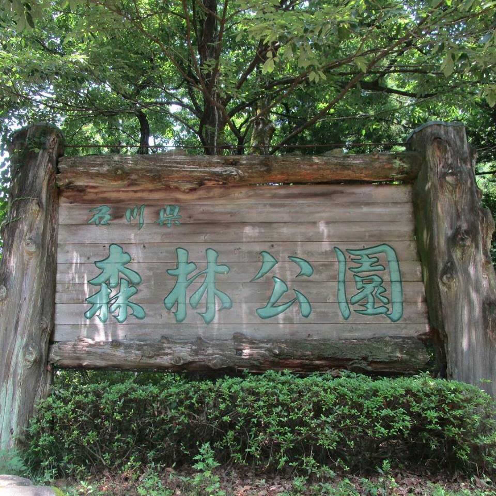 石川県森林公園デイキャンプ場の写真 5枚目