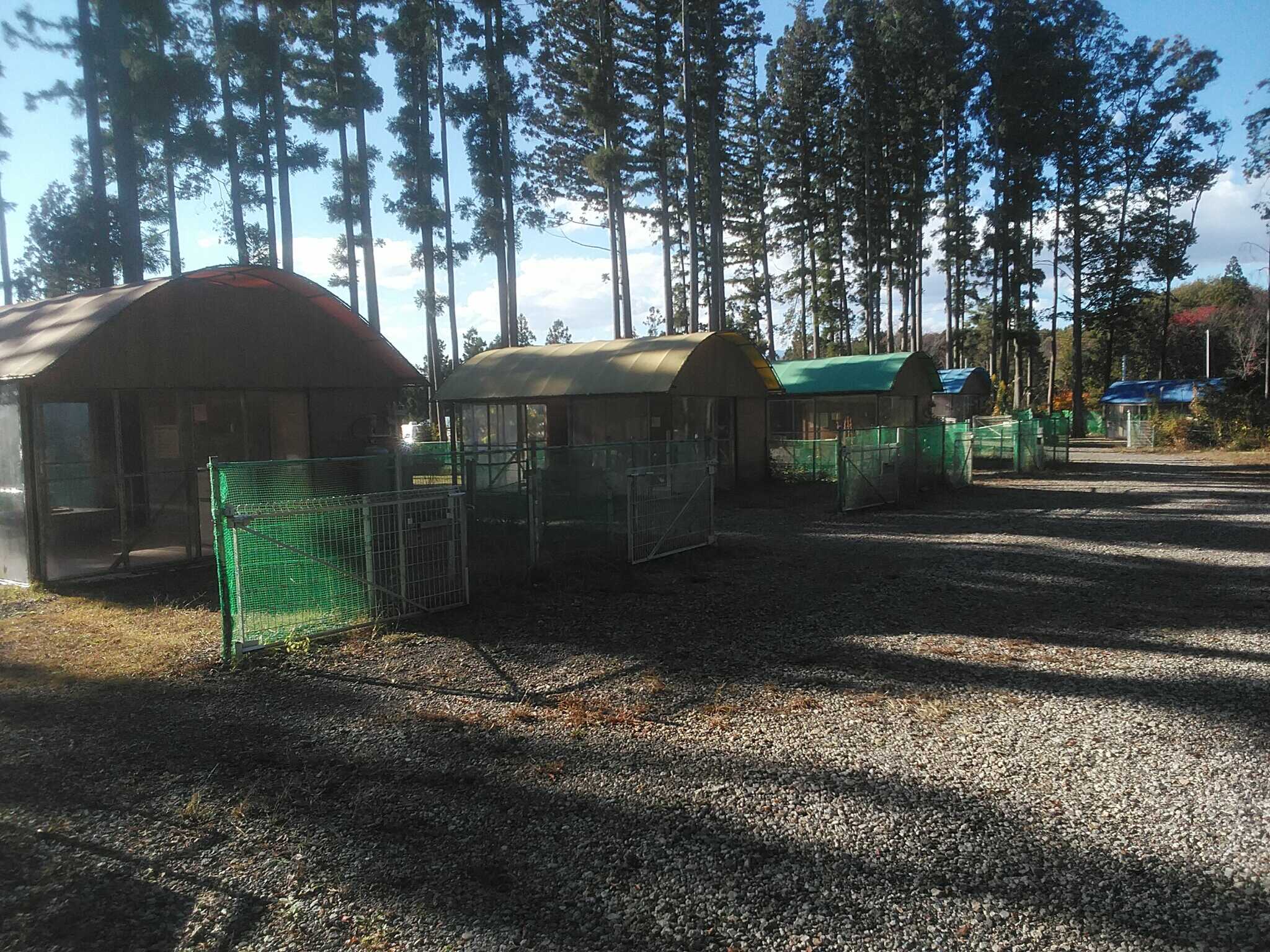 那須成功山オートキャンプ場