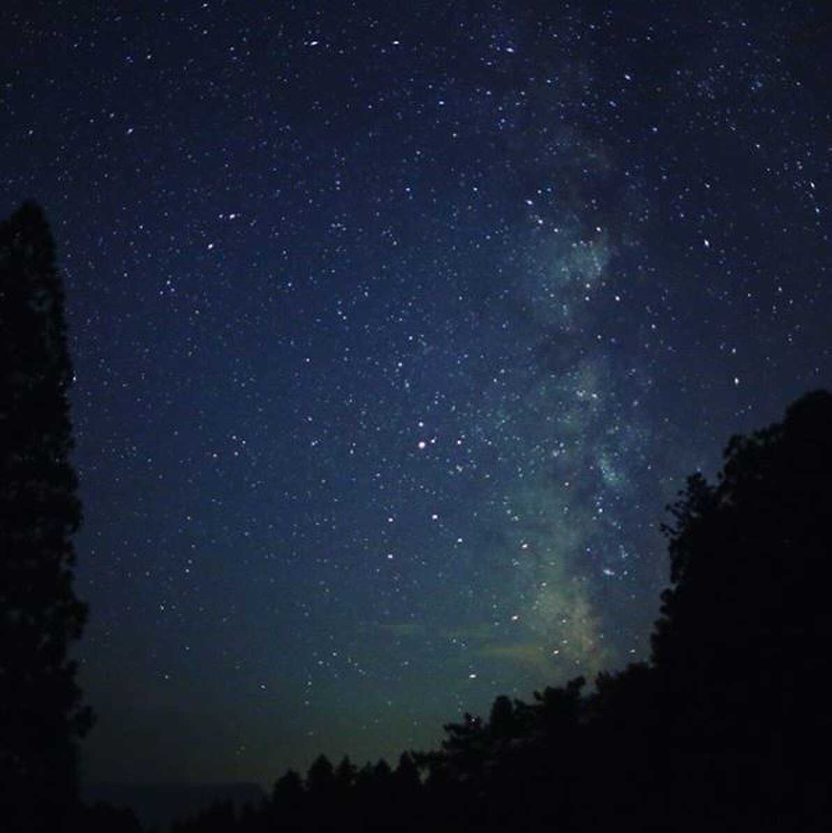 TREE CAMPから天体観測も可能!こんな満点の星空が望めます♪