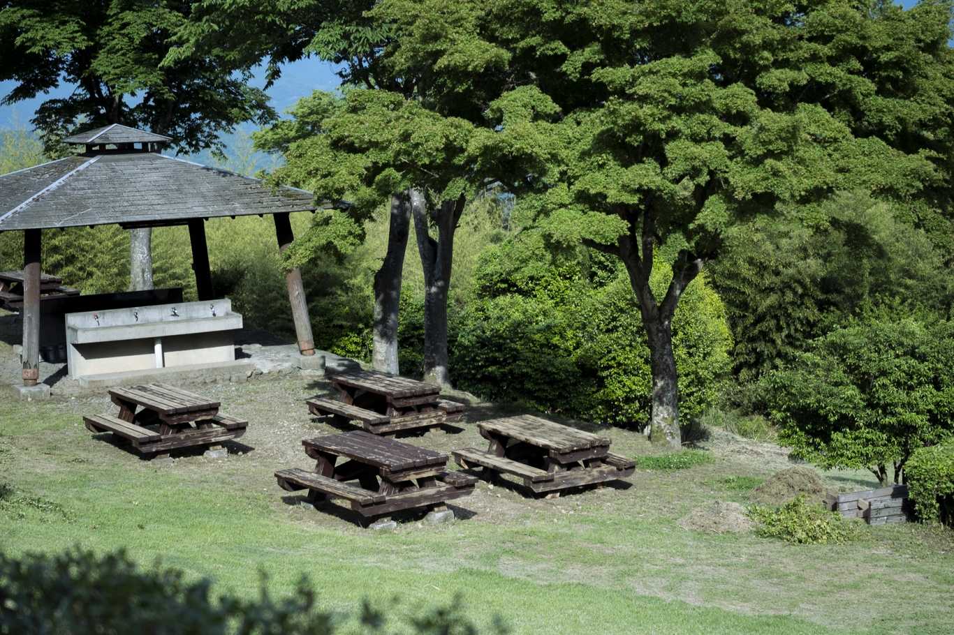 みのぶ自然の里キャンプ場 photo 3