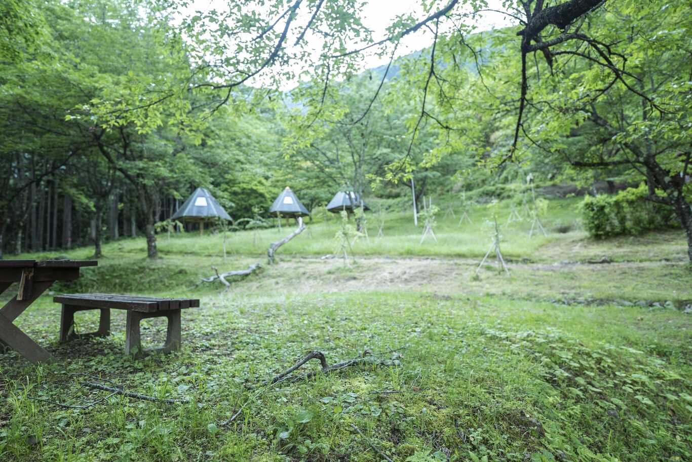 みのぶ自然の里キャンプ場 photo 4