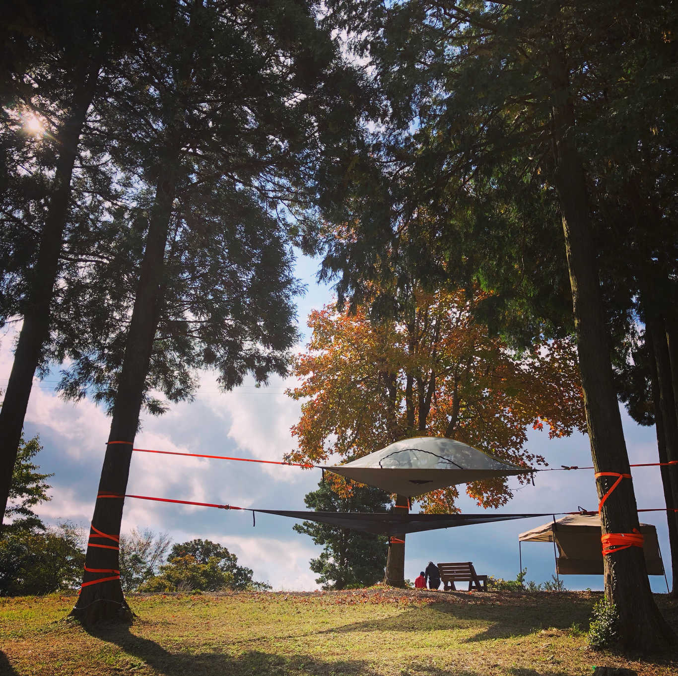 森のおと-空飛ぶテント＊空中泊施設 photo 5