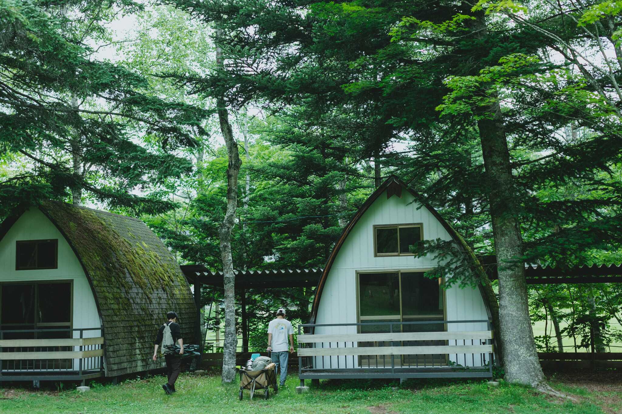 TINY GARDEN 蓼科の写真 3枚目