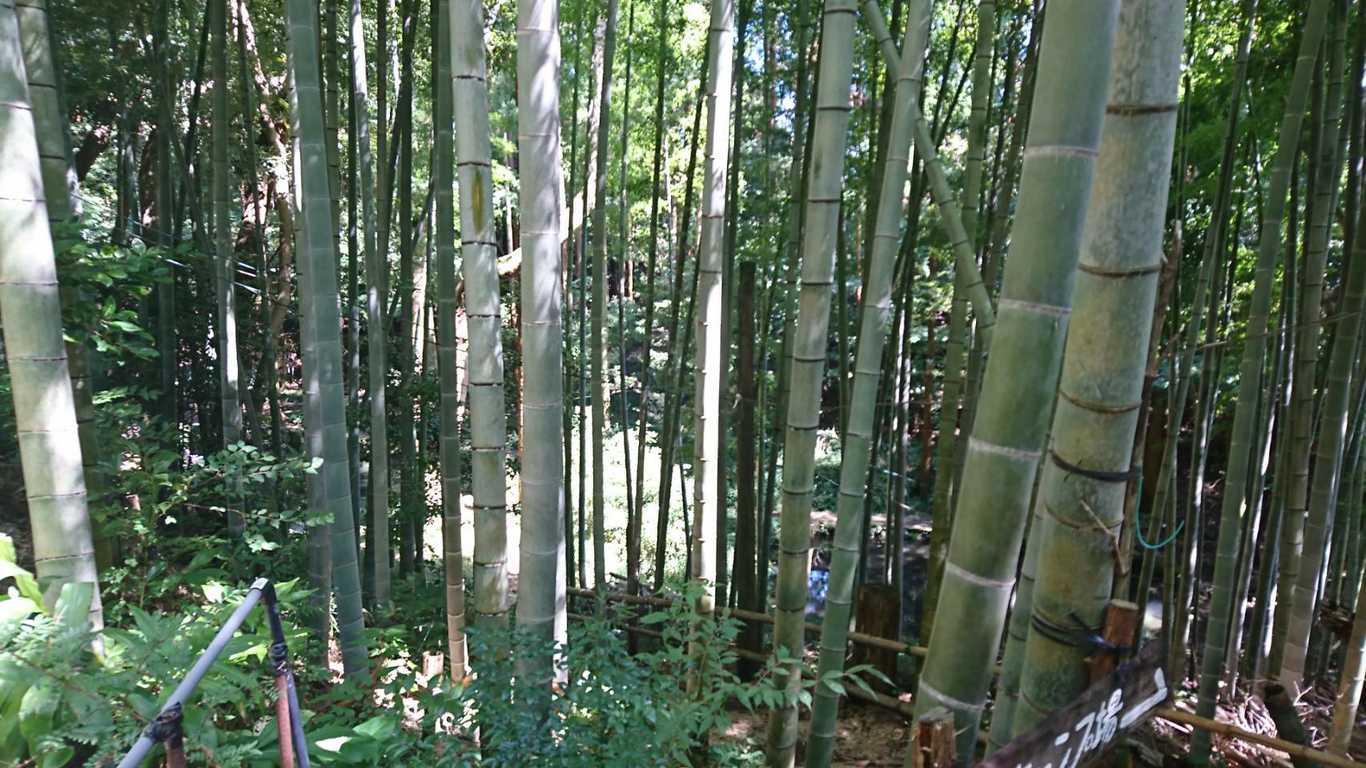 丸鉄園キャンプ場 photo 4