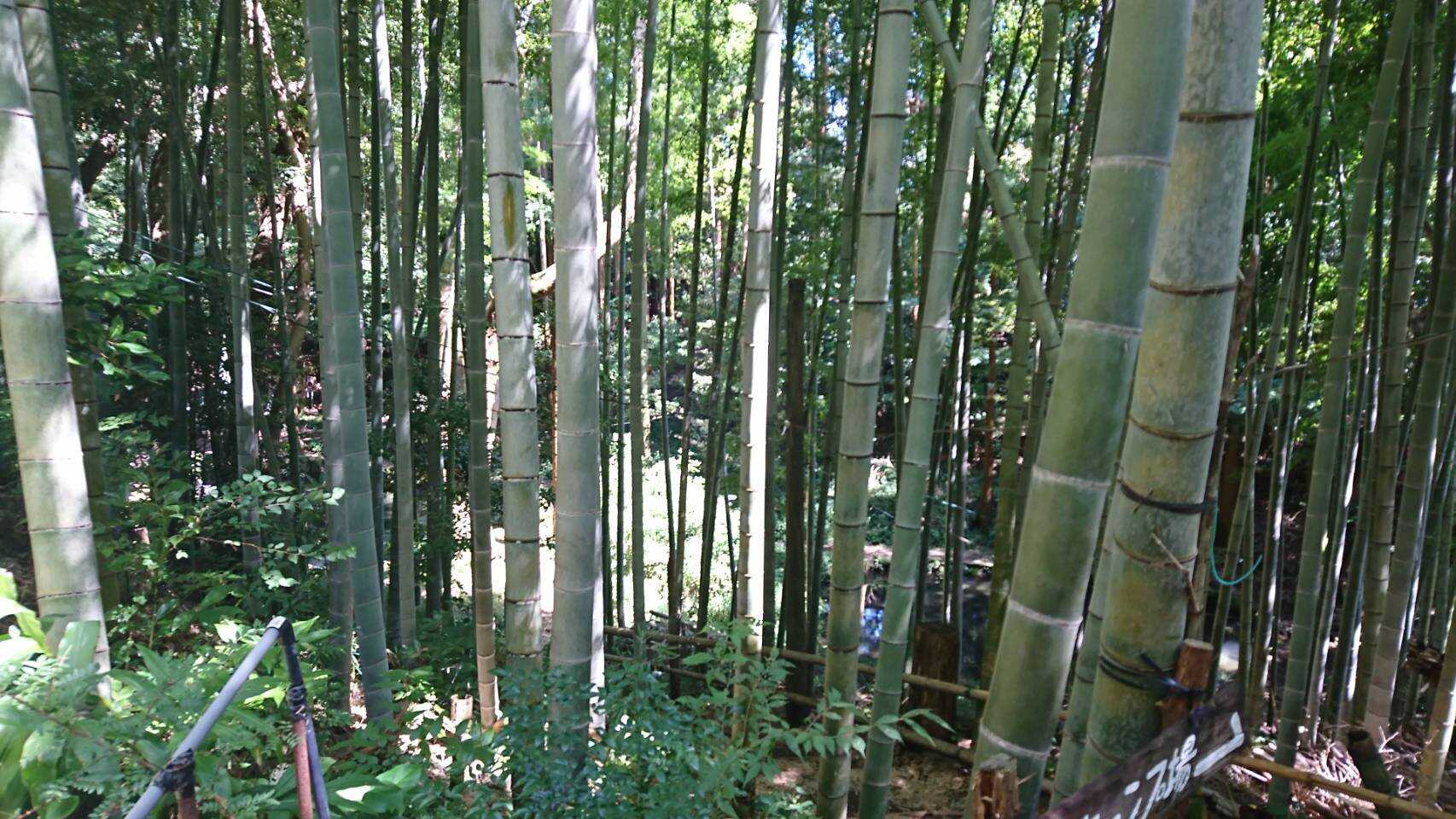 丸鉄園キャンプ場の写真 3枚目