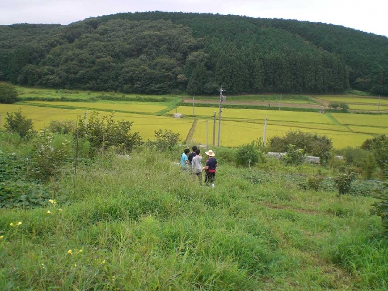 キャンプサイトから美しい田園風景が見下ろせます。