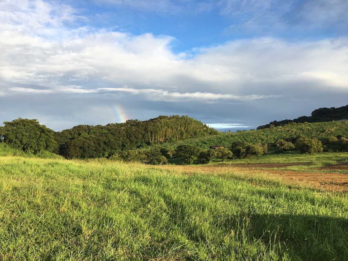 【R5/5閉鎖】OSADA FARM(オサダファーム)の写真 1枚目