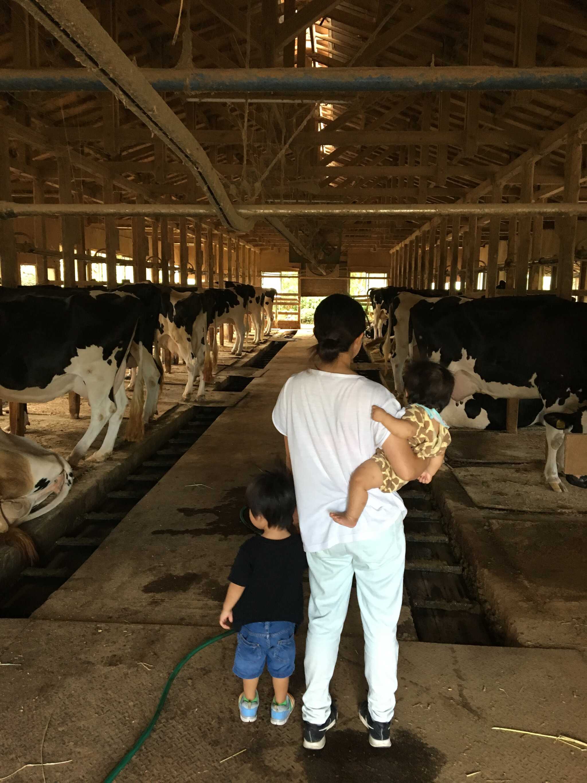 【R5/5閉鎖】OSADA FARM(オサダファーム)の写真 5枚目