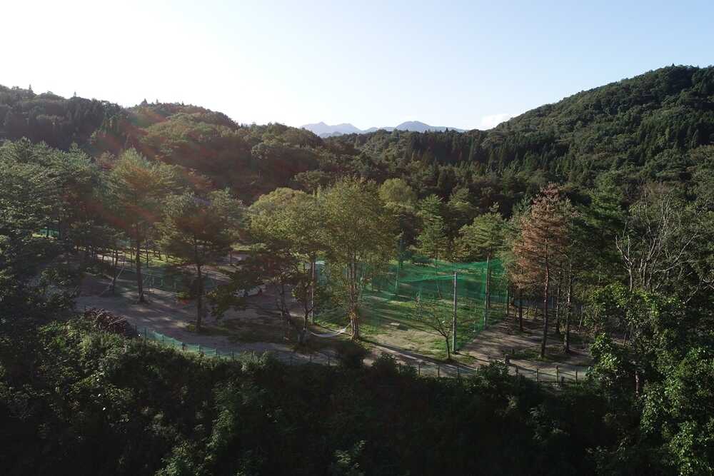 ドロキャン新川の写真 4枚目