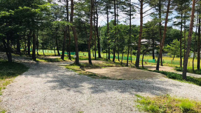 ドロキャン新川の写真 2枚目