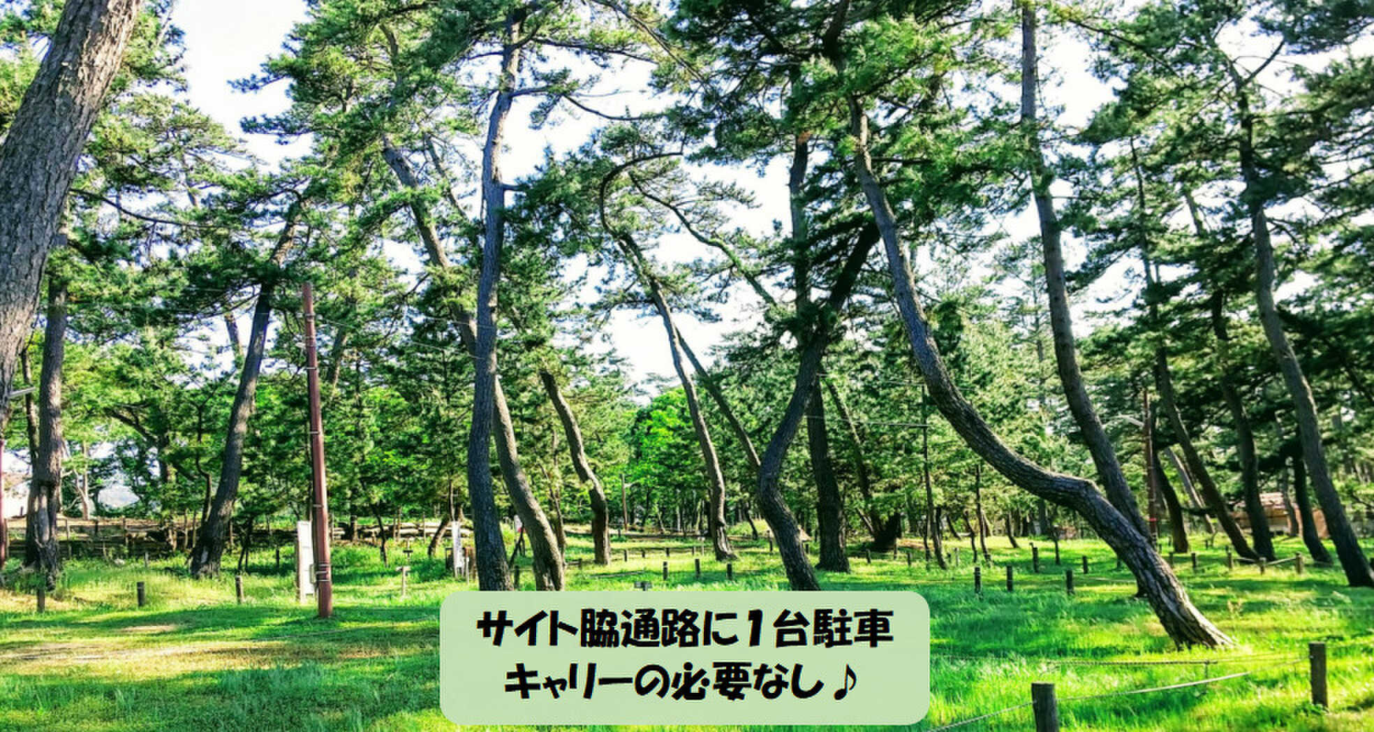 エンジェル・キャンプ場